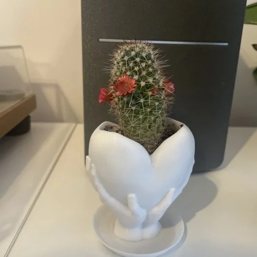 3D Baskı El Şeklinde Saksı