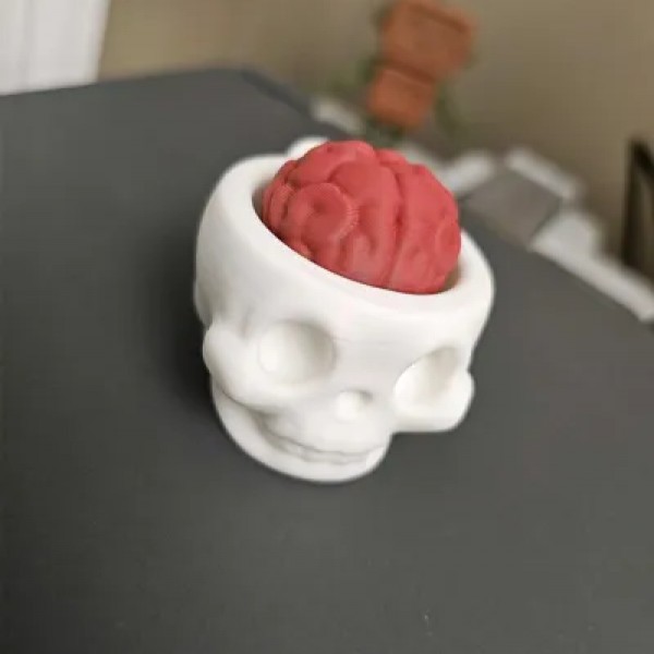 Beyinli Kuru Kafa Anahtarlık Beyinli Kuru Kafa Anahtarlık